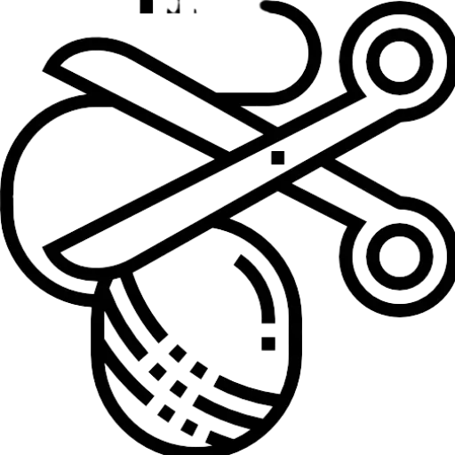 EXPORT CUSTOMS CLEARING SERVICES IN DELHI NCR