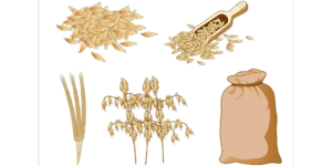 rice export procedure in india