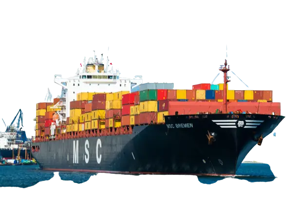 Mediterranean Shipping Company 03