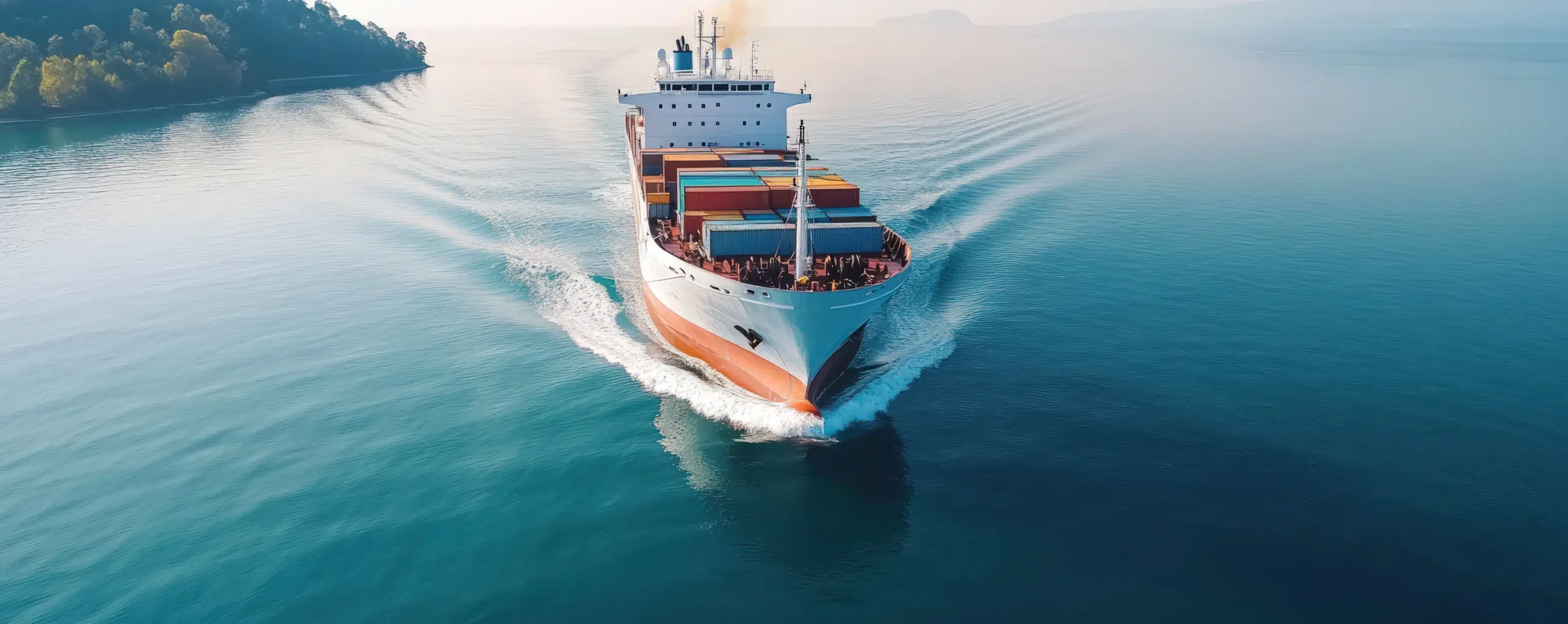 Import Export Custom Clearance Agents
