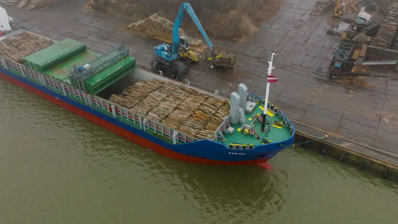 How to Export wood from India