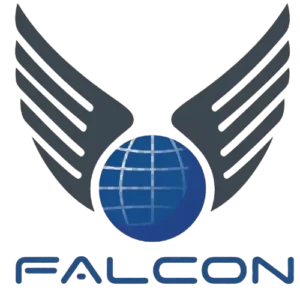 ONE NAME FALCON