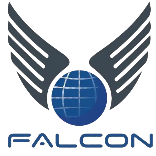 ONE NAME FALCON